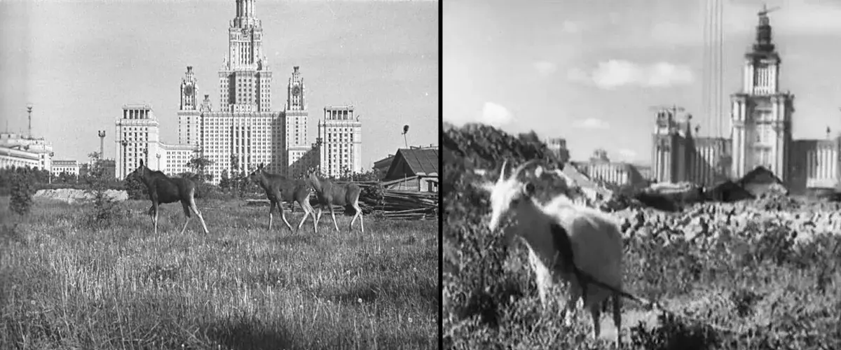 История строительства главного здания МГУ: факты, мифы и легенды